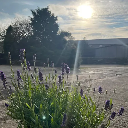 Holiday home Craven Garth *
