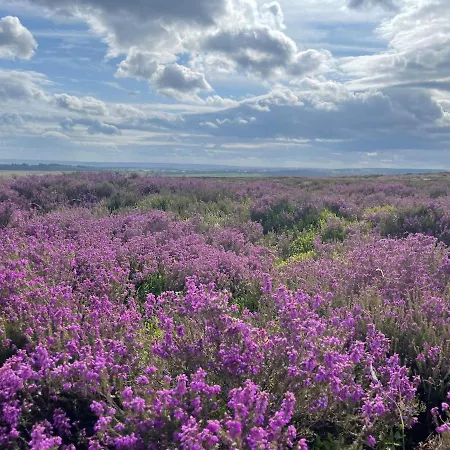 Holiday home Craven Garth Rosedale Abbey