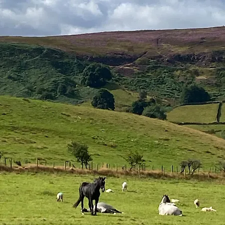 Craven Garth Ferienhaus