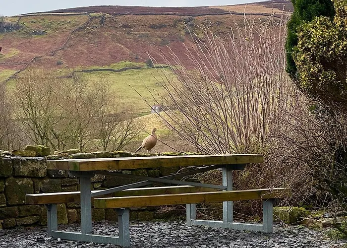 Craven Garth * Rosedale Abbey